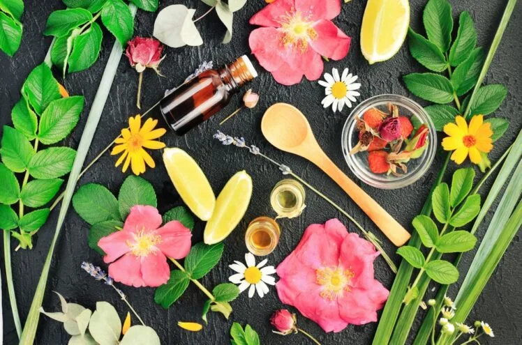 Aromateria image